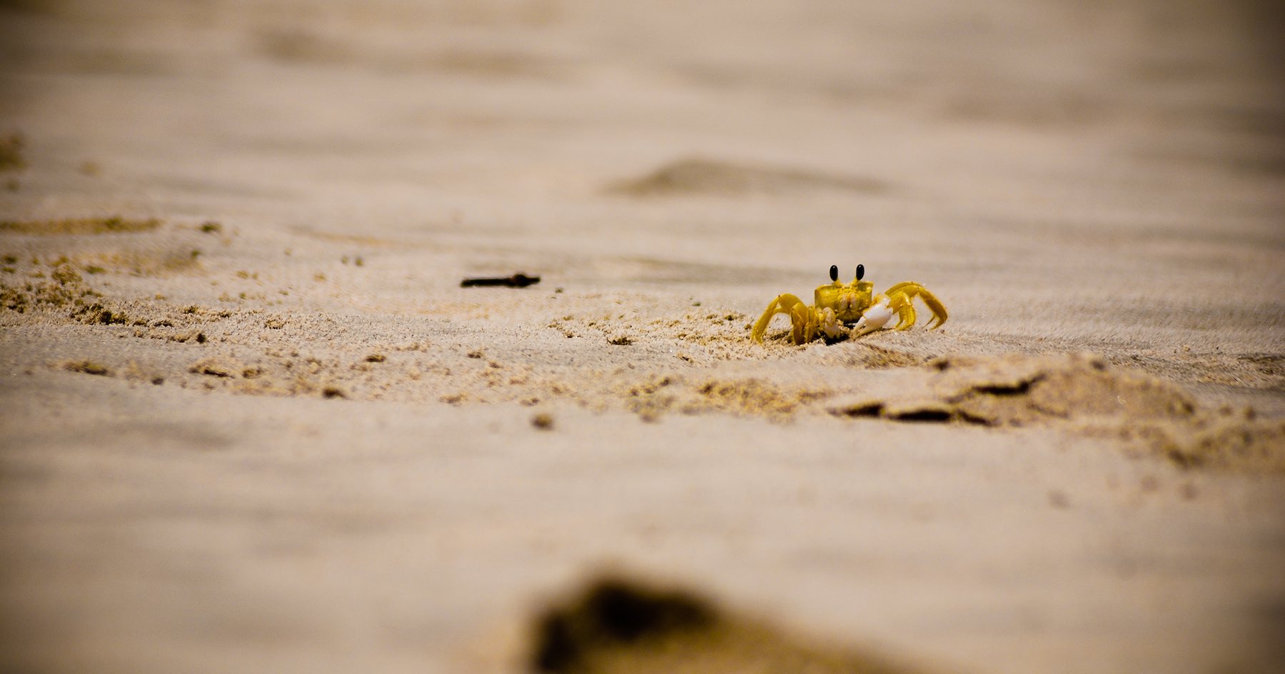 Around the World: Brasil